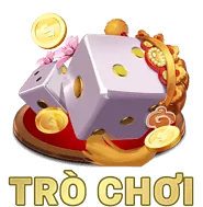 Bảo vệ quyền riêng tư
